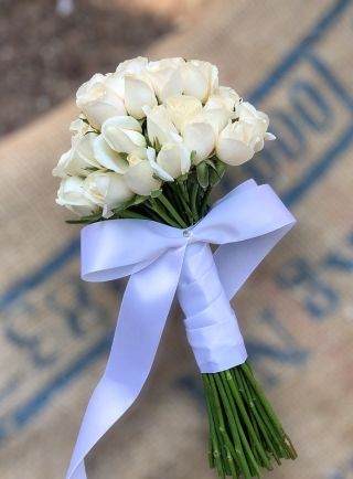 PhotoRoom-20221117-164753