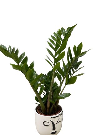 WhatsApp Image 2022-12-26 at 14.14.58